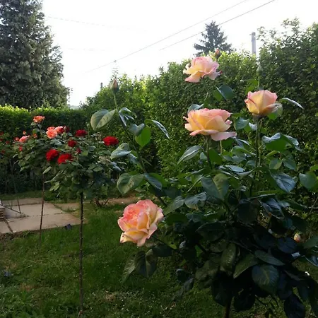 Apartamento A. Maria *