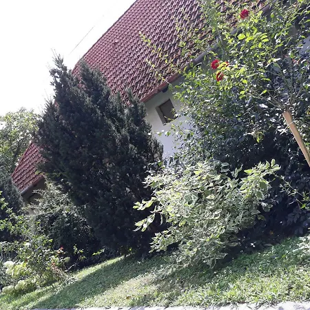 A. Maria *